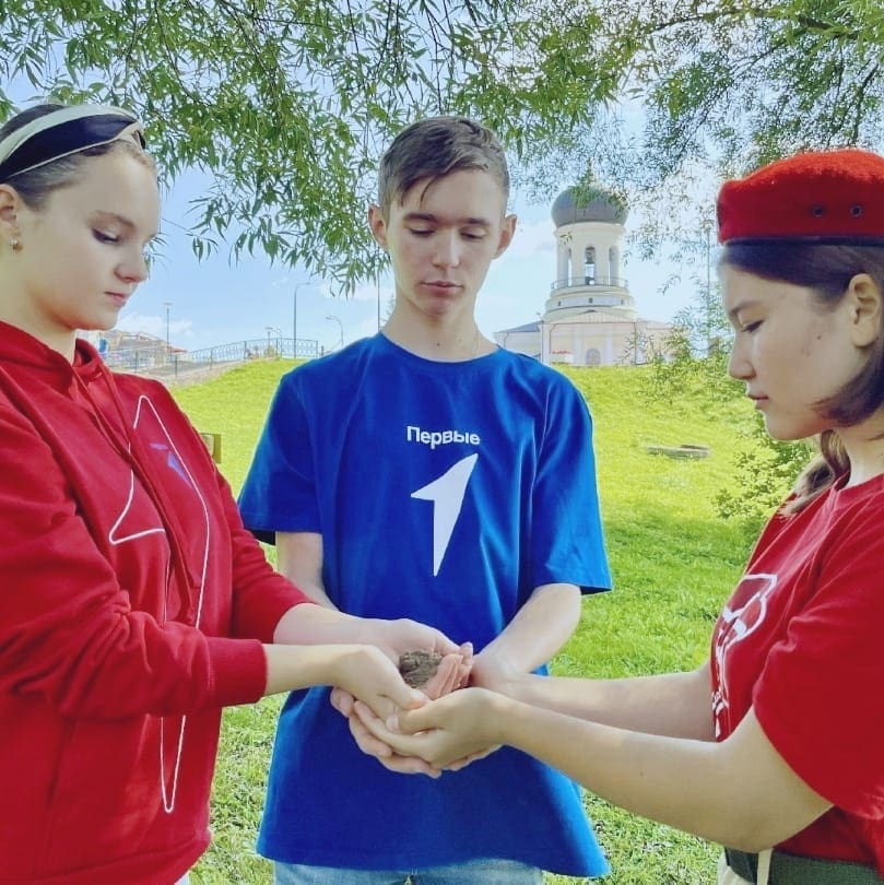 Администрация Наро-Фоминского района подводит итоги 2024 года