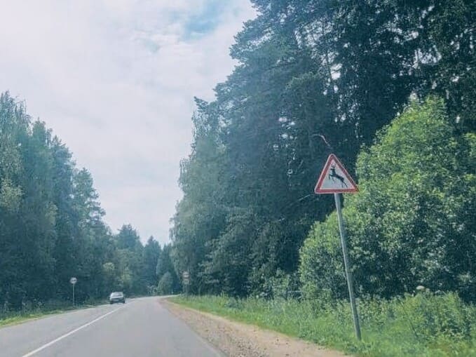 Лоси на трассе: Новый знак безопасности в Наро-Фоминском районе