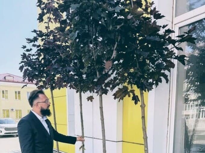 Наро-Фоминск активно озеленяется: где появятся свежие ландшафты