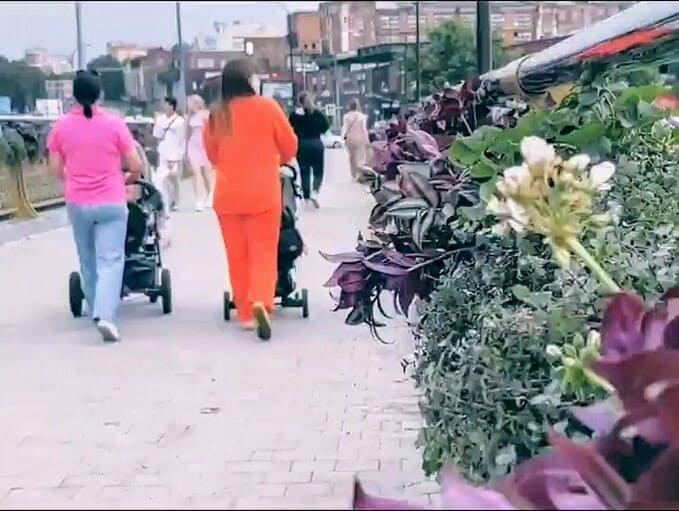 Живой тоннель из 500 растений: цветы преобразили мост Наро-Фоминска