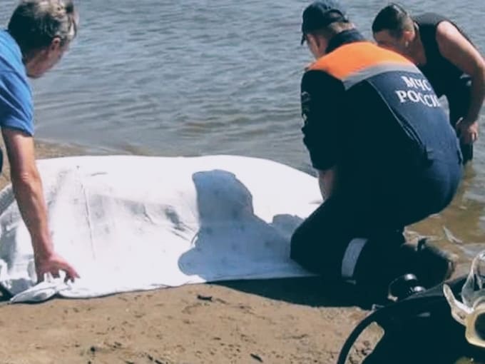 Трагедия в Афанасовке: человек утонул, купаясь в неположенном месте