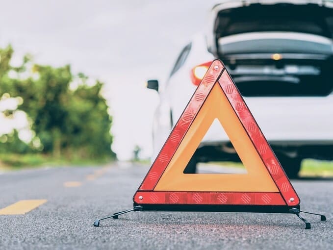 Автомобиль сбил косулю на дороге в Апрелевке: как действовать, чтобы не платить