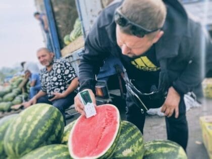 Как выбрать арбуз без нитратов: правила Роспотребнадзора на 2025 год