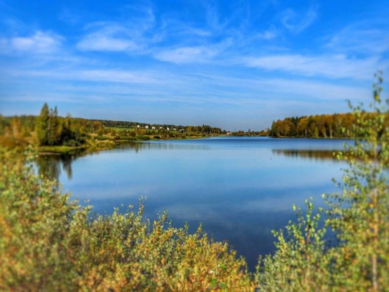 Два пруда в Наро-Фоминске претендуют на очистку в 2026 году